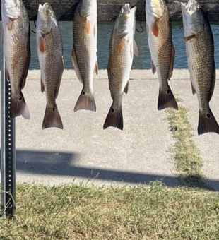 Sunrise to sunset, fishing Aransas Pass.